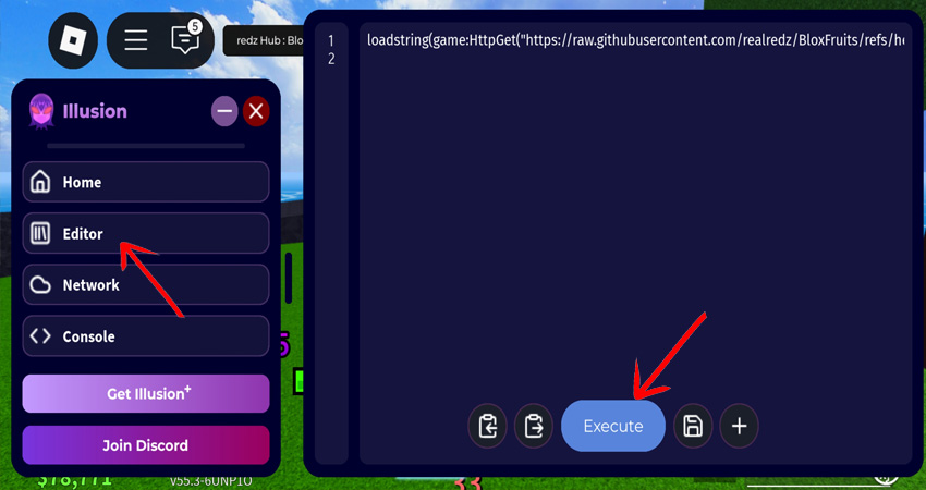Enter the key In Illusion Executor 