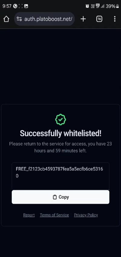 Copy the illusion Executor Key 